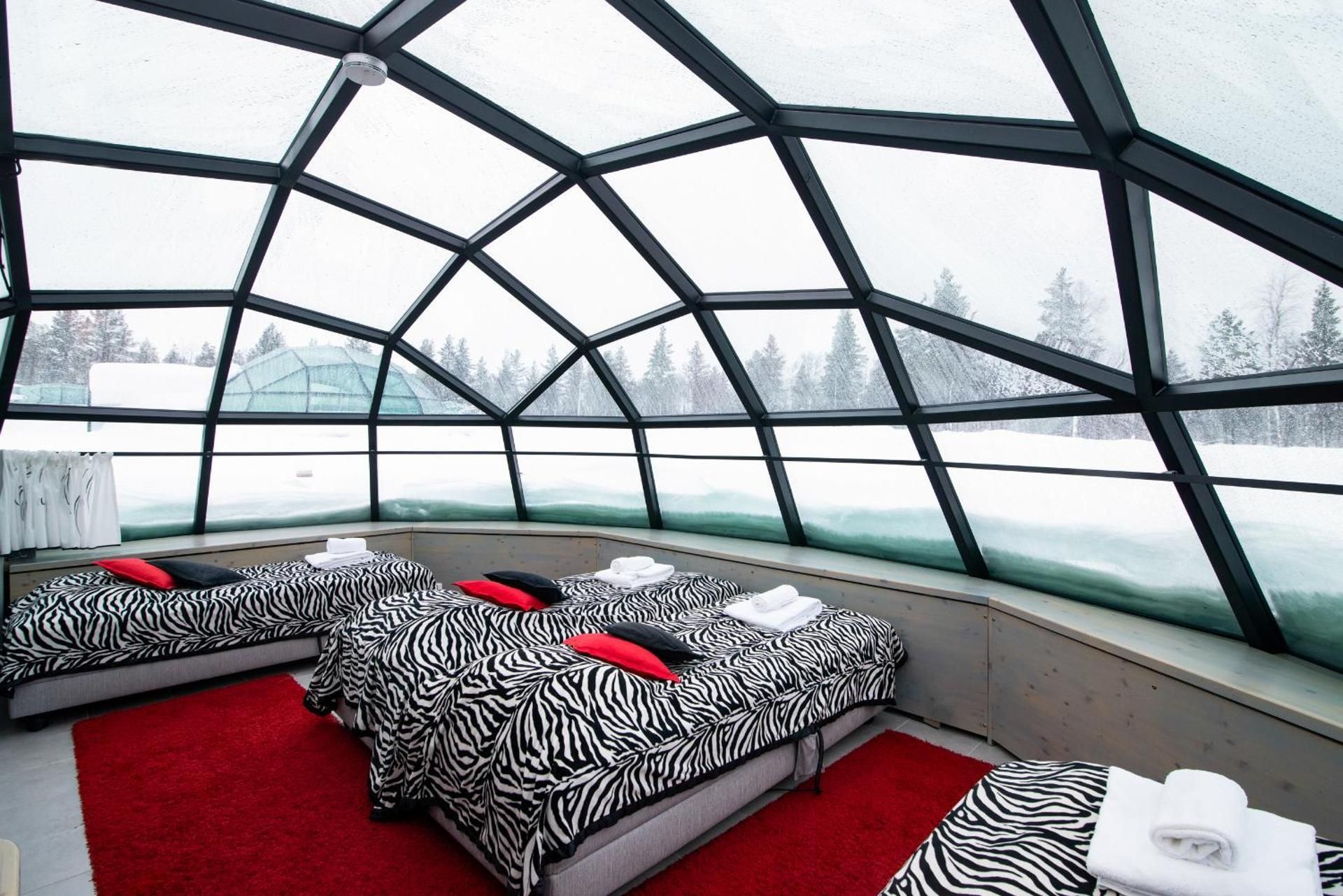 Large Glass Igloo (West Village)