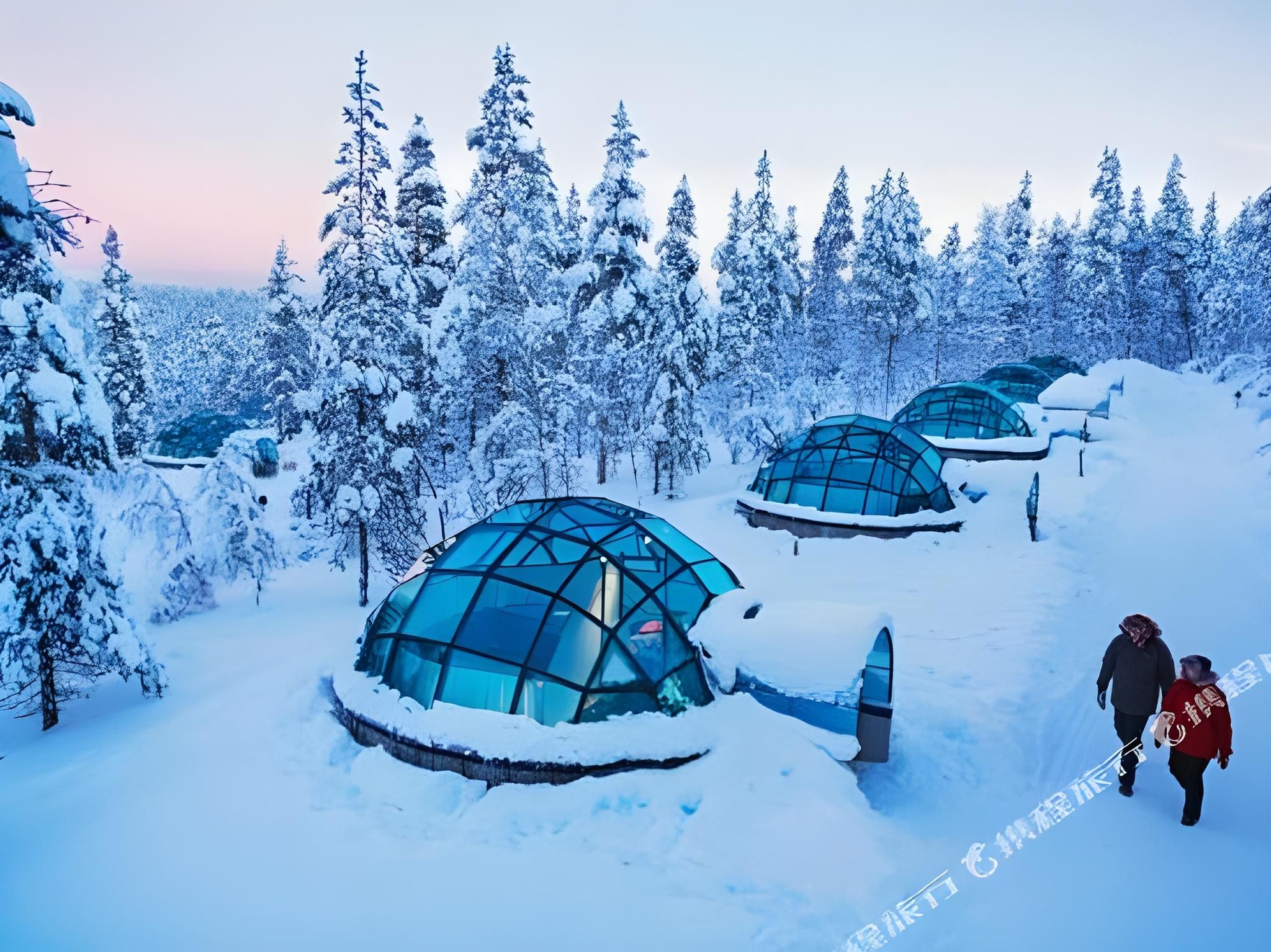 West Small Glass Igloo for 2 People