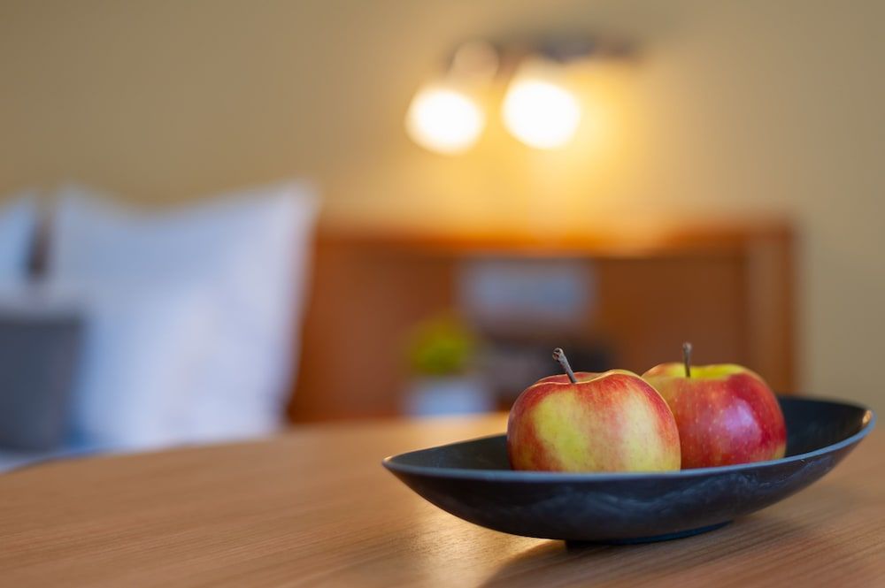 Hotel Frankenland Classic Double Room 4