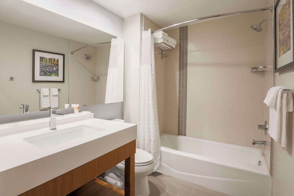 Room, 1 King Bed with Sofa bed, Accessible (with Shower)