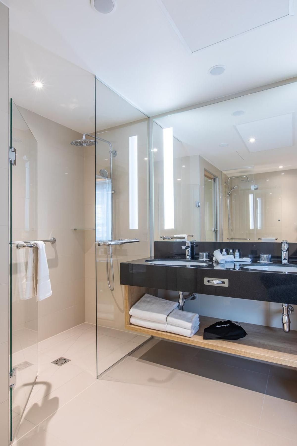 Junior Suite Mountain View