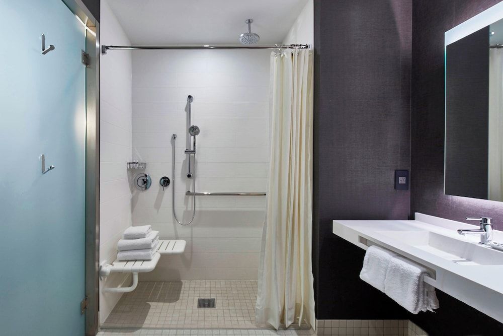 Room, 1 King Bed, Non Smoking (Mobility Accessible, Roll-In Shower)