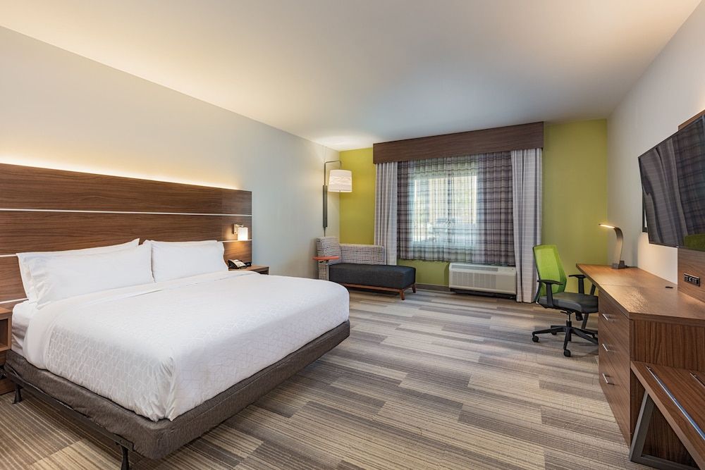 Room, 1 King Bed, Accessible, Non Smoking (Roll-In Shower)