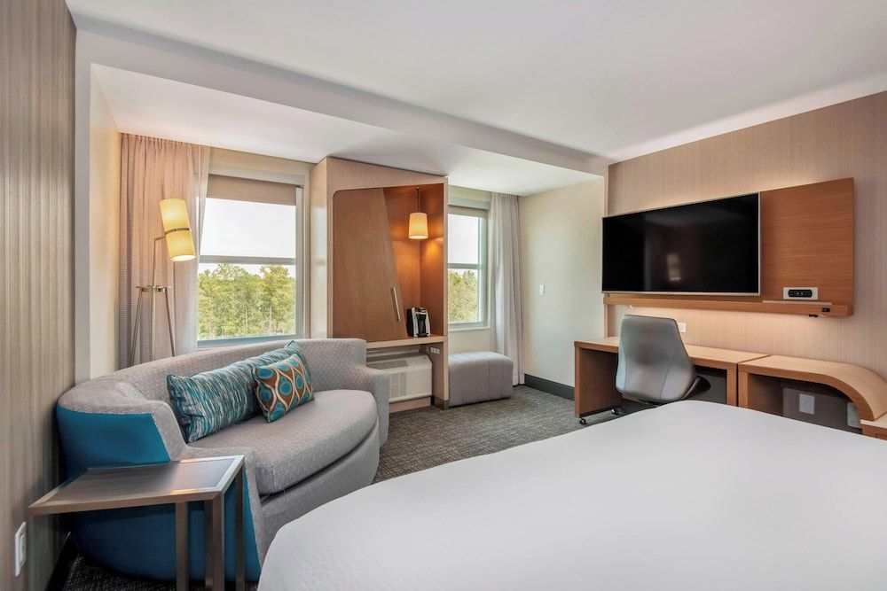Room, 1 King Bed with Sofa bed (Hearing Accessible)