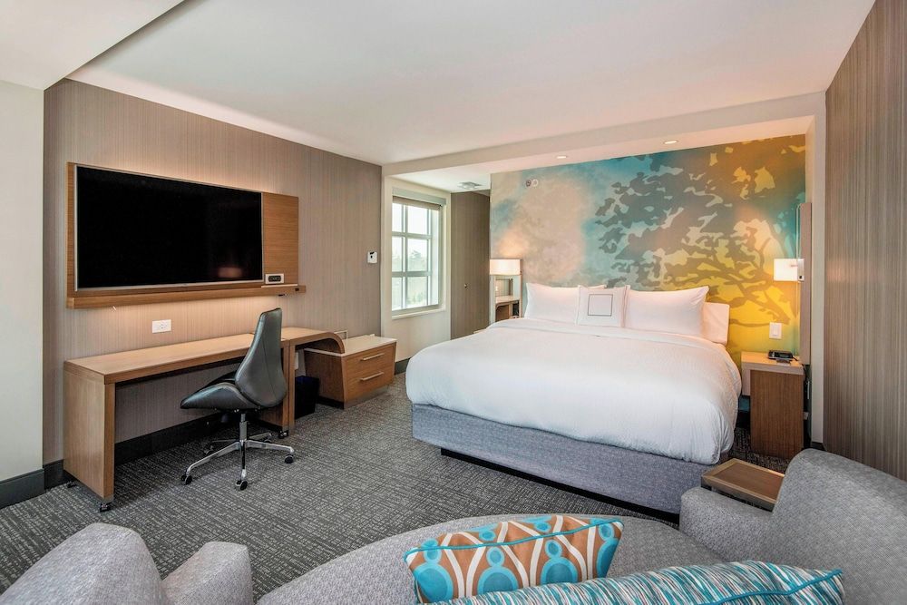 Room, 1 King Bed with Sofa bed (Hearing Accessible)