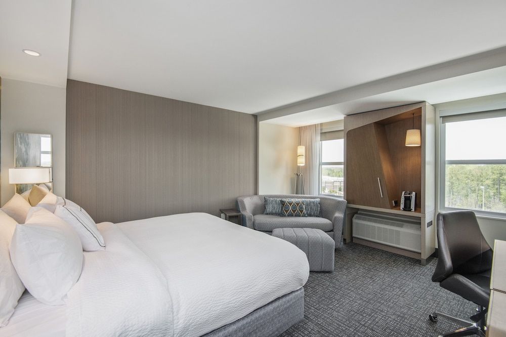 Room, 1 King Bed with Sofa bed