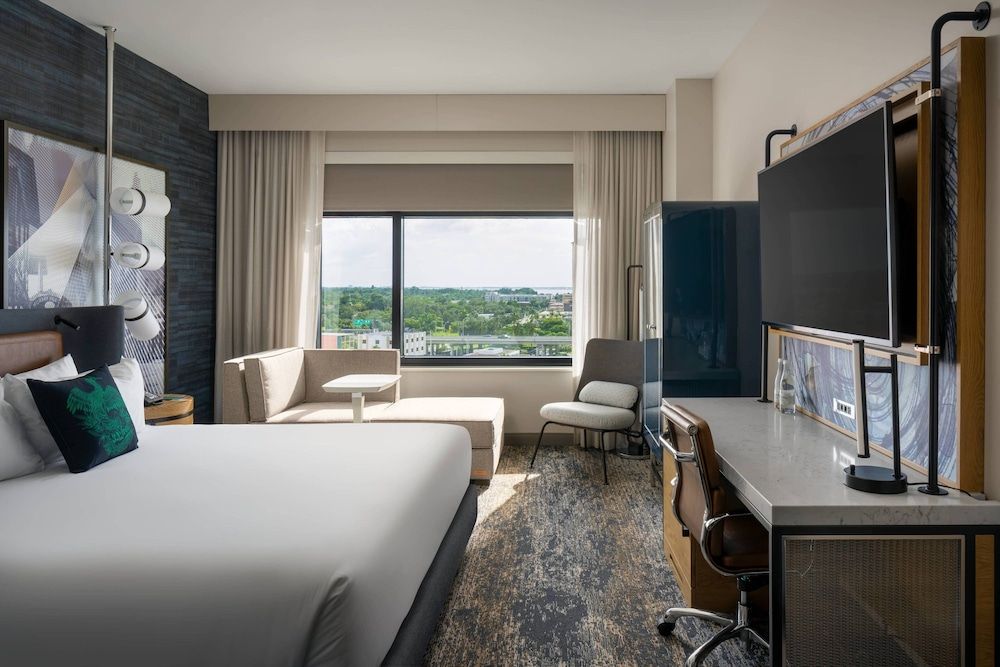 Room, 1 King Bed (Mobility Accessible, Roll-in Shower)