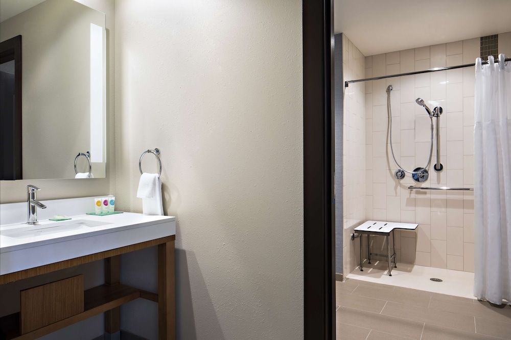 Room, 1 King Bed with Sofa bed, Accessible (Shower)
