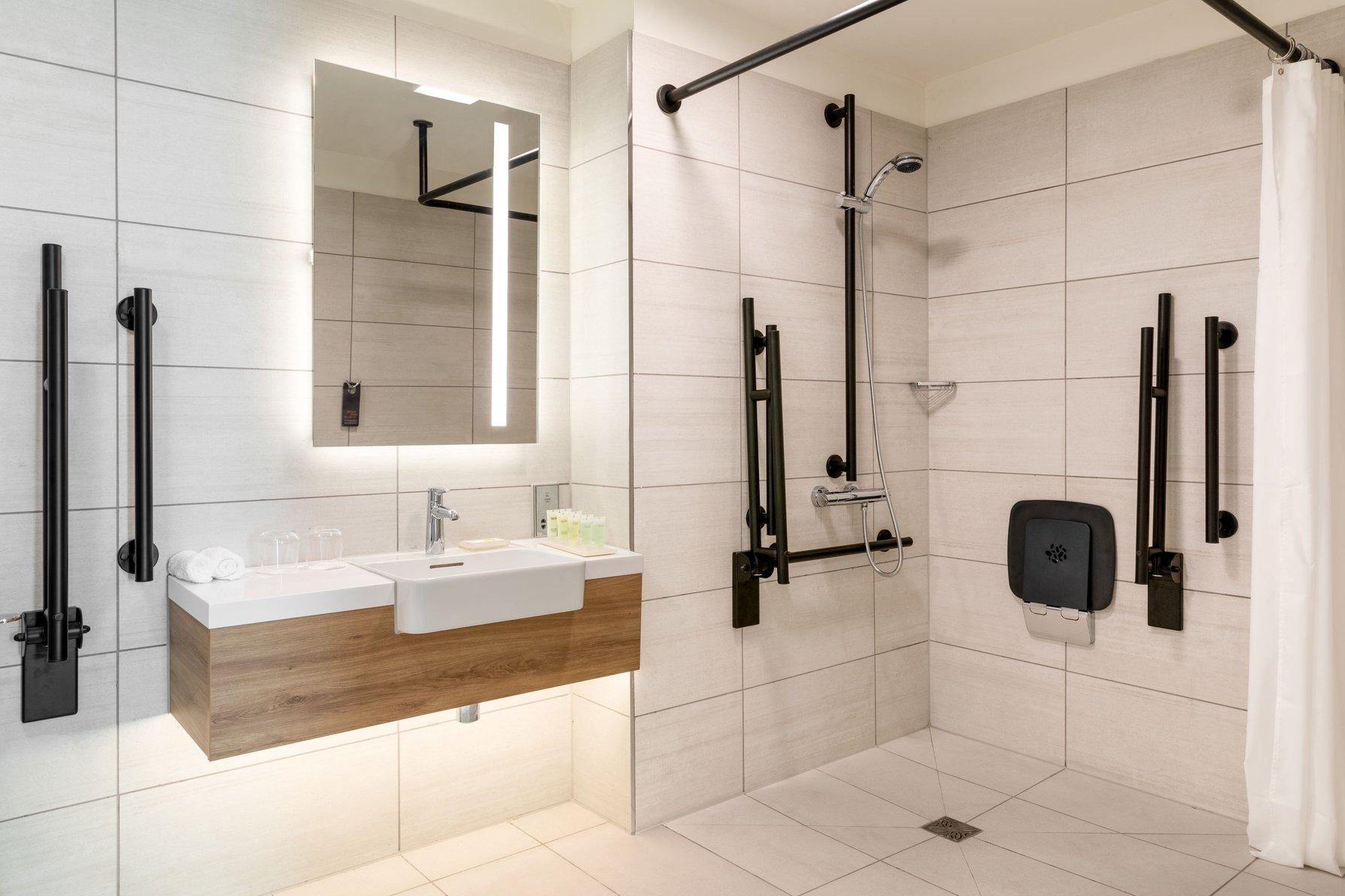 Family room, Guest room, 1 King, Sofa bed