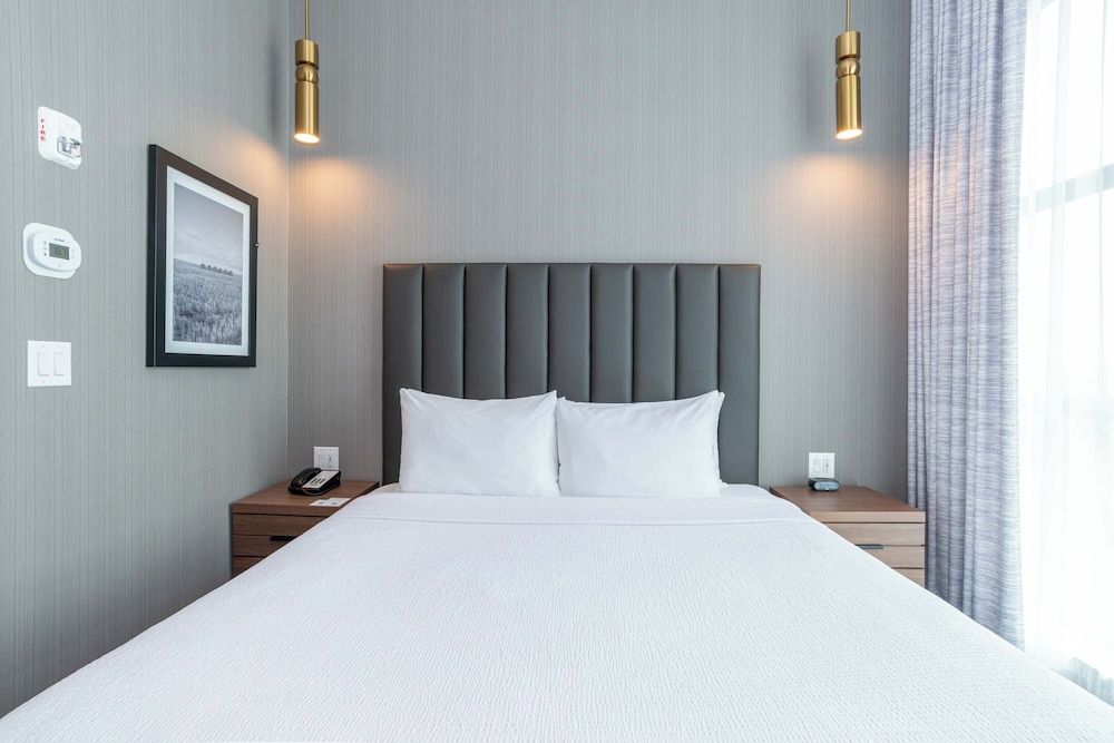Standard Suite, 1 King Bed with Sofa bed, Kitchenette