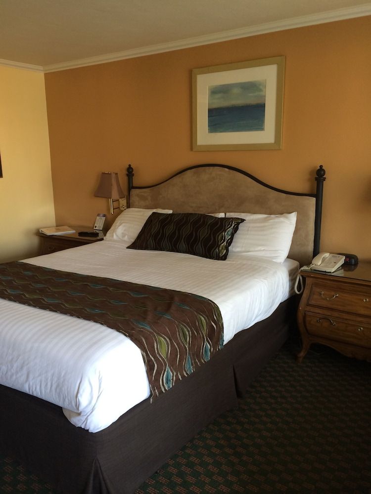 Oasis Inn & Suites Standard Room, 1 King Bed 2
