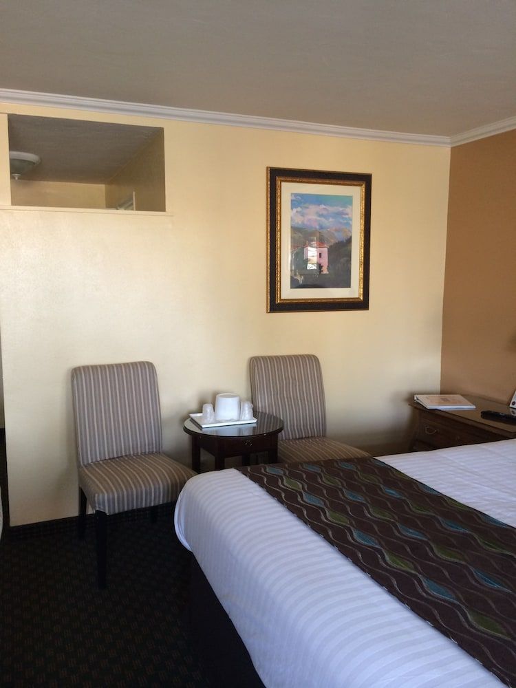 Oasis Inn & Suites Standard Room, 1 King Bed