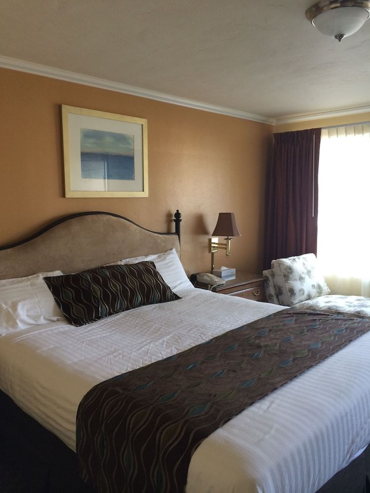 Oasis Inn & Suites Standard Room, 1 King Bed 3