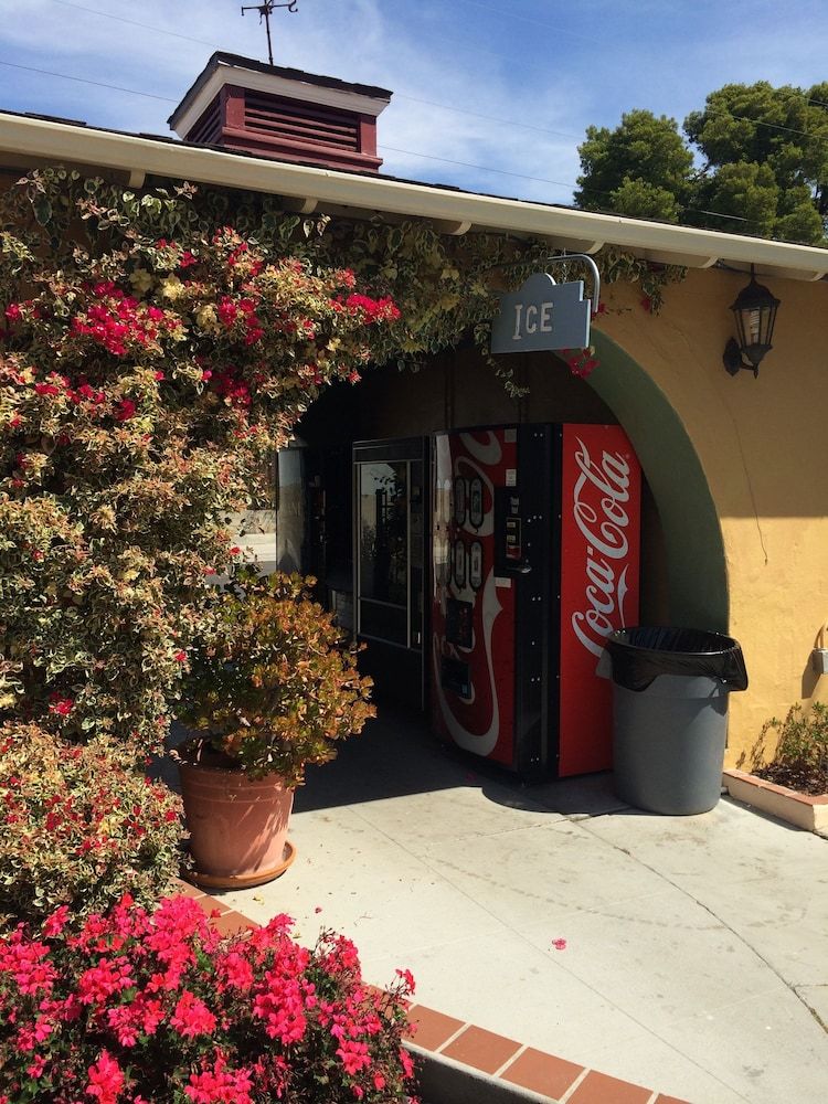 undefined Oasis Inn & Suites 5