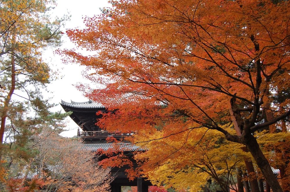 undefined Hotel Keihan Kyotoeki Minami 7