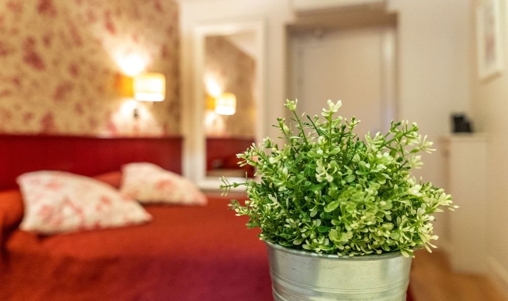 Hostal Matheu City Double or Twin Room 21