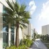 InterContinental Ras Al Khaimah Mina Al Arab Resort & Spa by IHG