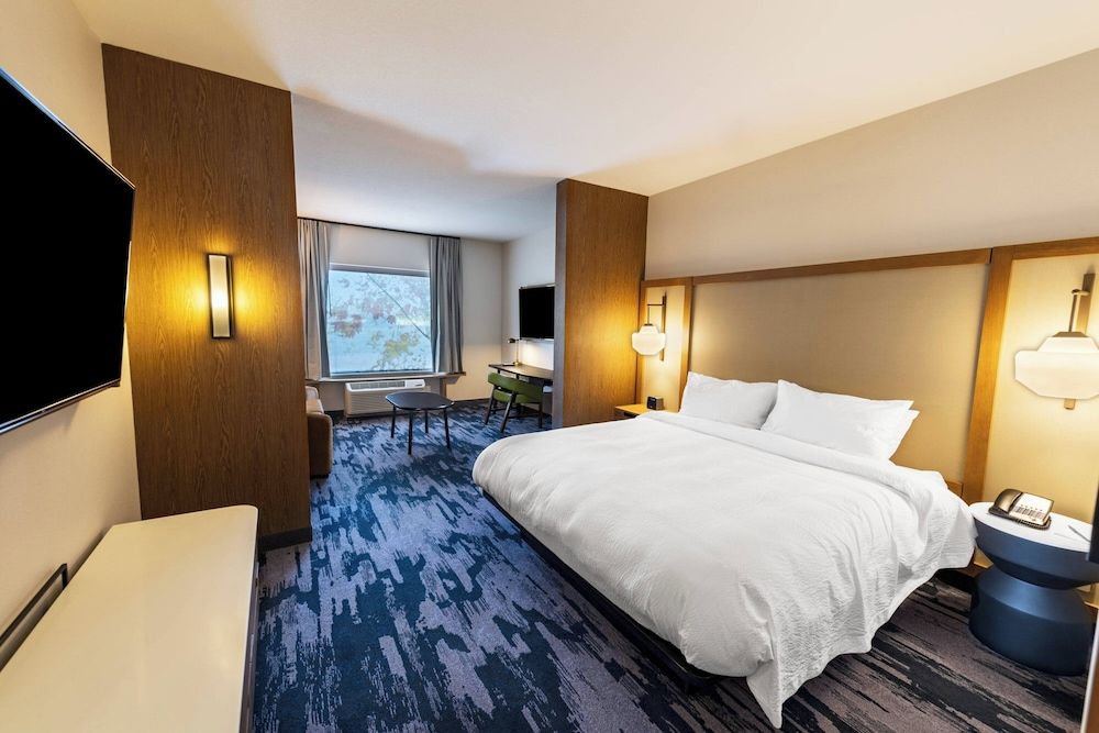 Suite, 1 King Bed with Sofa bed