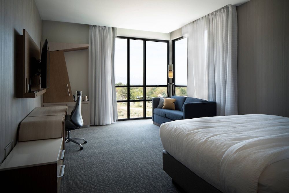 Room, 1 King Bed with Sofa bed