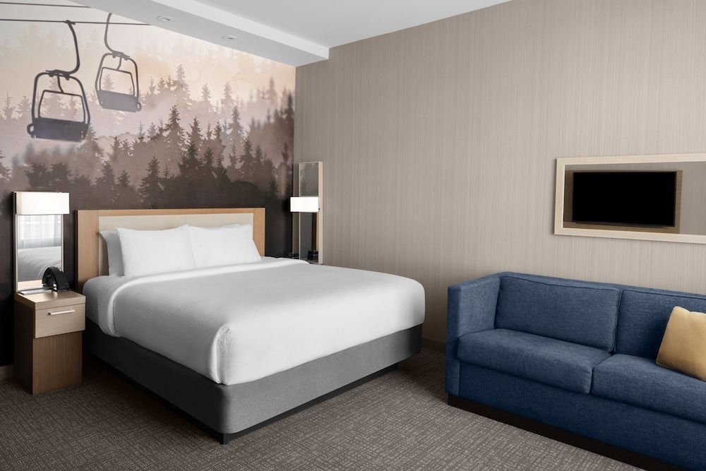 Room, 1 King Bed with Sofa bed (Mobility Accessible, Tub)