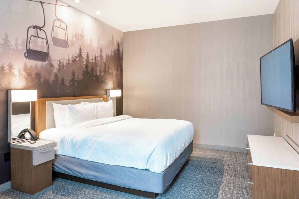 Suite, 1 King Bed with Sofa bed