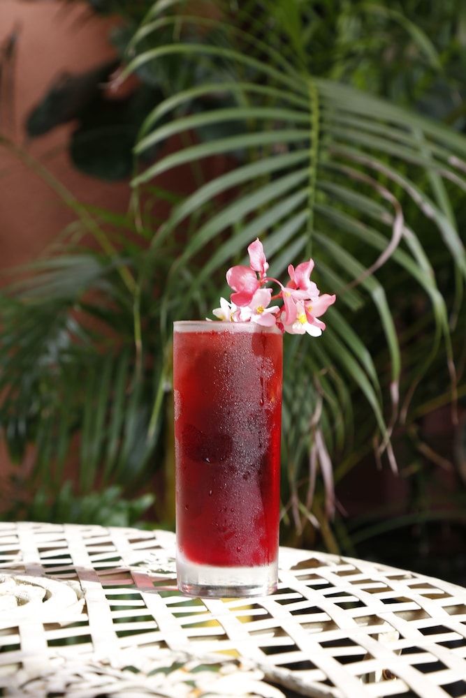 undefined Life House, Little Havana 9