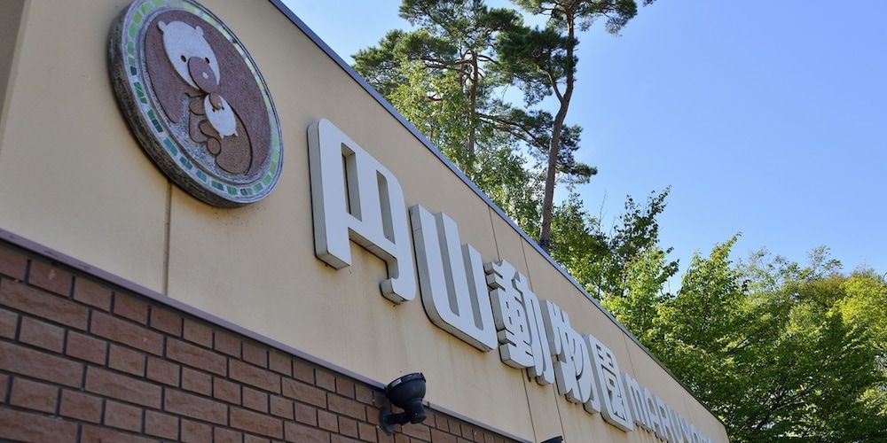 Land View from Property