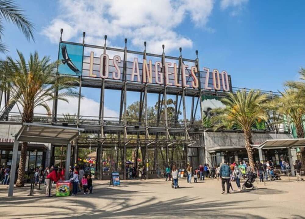 undefined The Hotel Hollywood 6