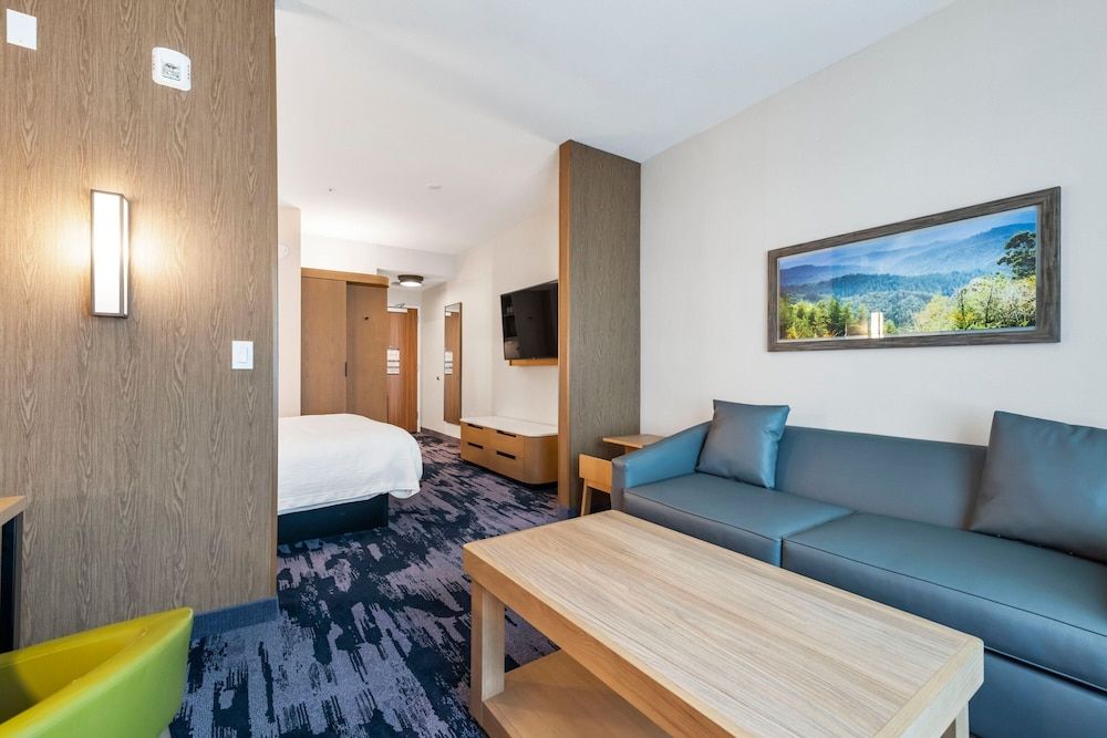 Suite, 1 King Bed with Sofa bed, Non Smoking