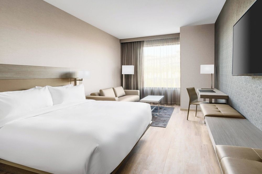 Room, 1 King Bed with Sofa bed