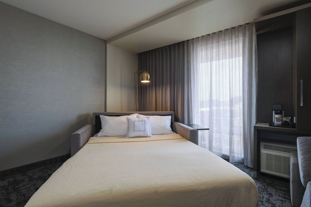 Room, 1 King Bed with Sofa bed (Hearing Accessible)