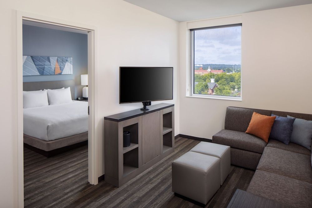Suite, 1 King Bed with Sofa bed