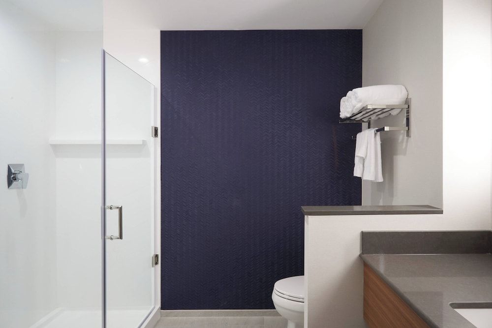 Room, 1 King Bed, Non Smoking (Mobility Accessible, Roll-In Shower)