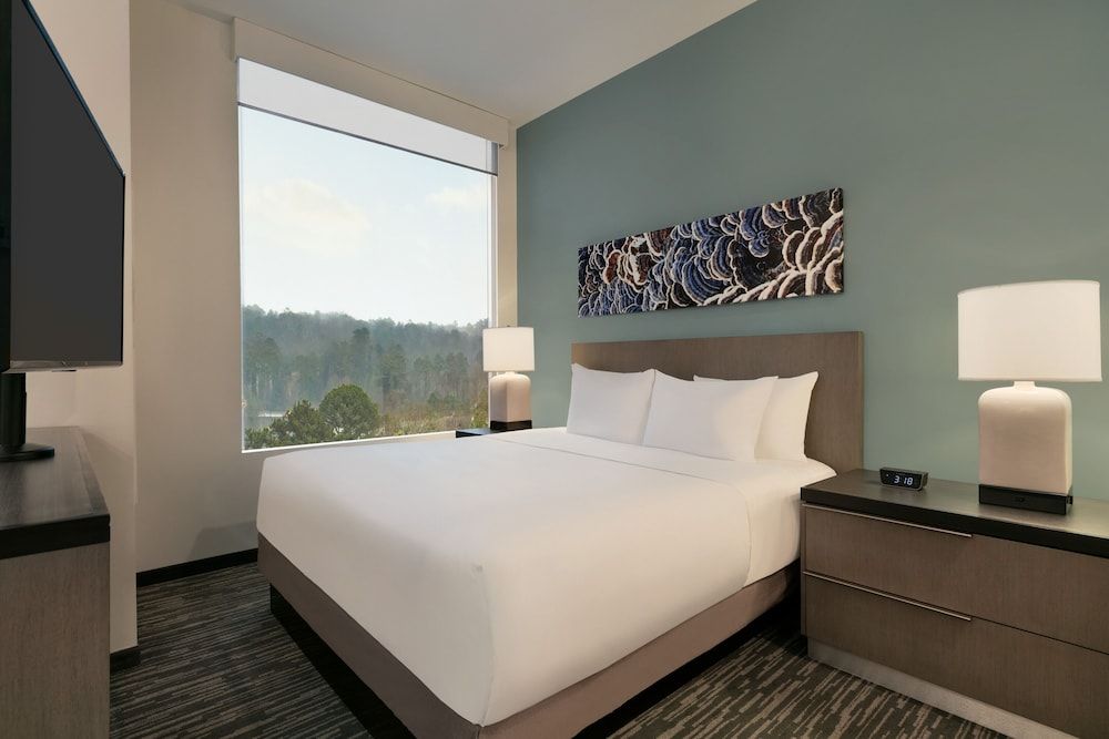 Studio Suite, 1 King Bed with Sofa bed, Accessible, Bathtub (Kitchen, Shower)