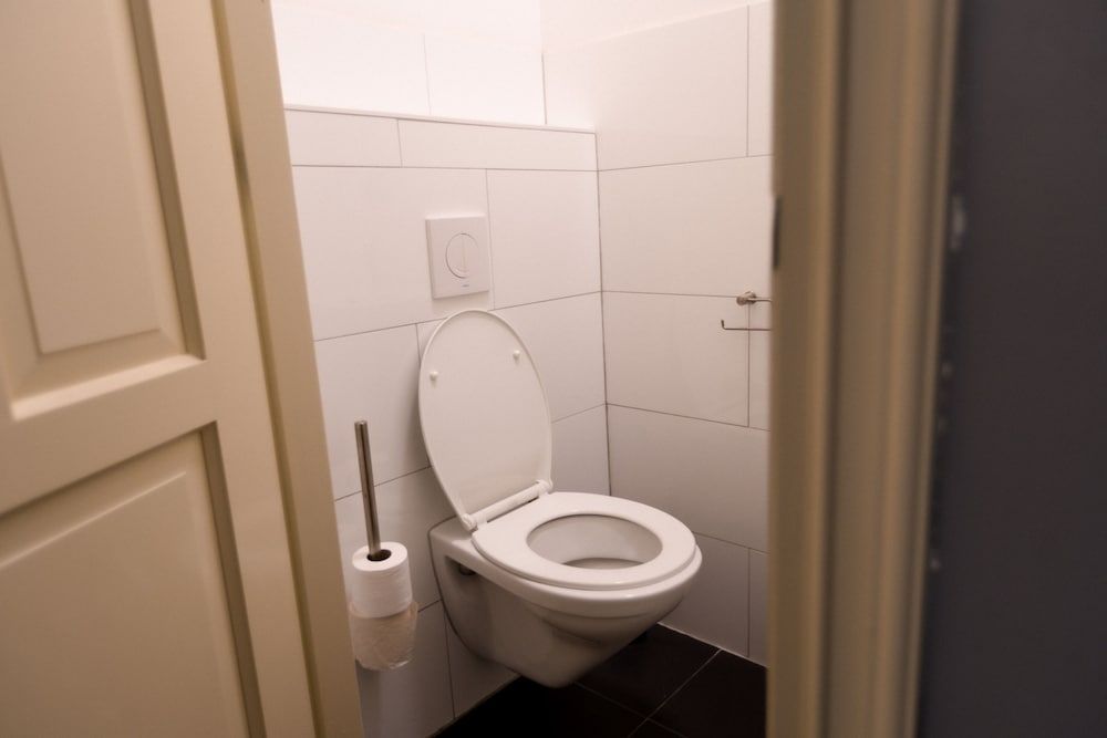 Plantage Hortus Apartments Comfort Apartment, 1 Double Bed with Sofa bed 5