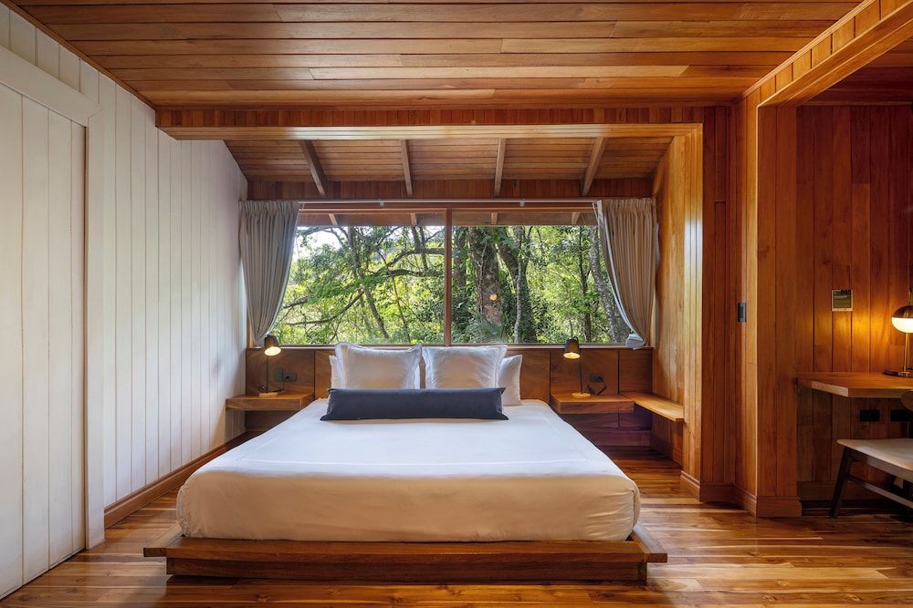 Cloud Forest Studio
