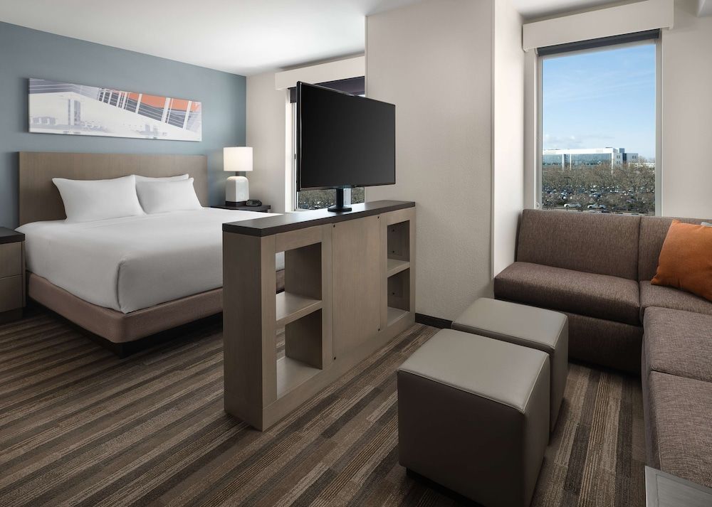 Studio Suite, 1 King Bed with Sofa bed