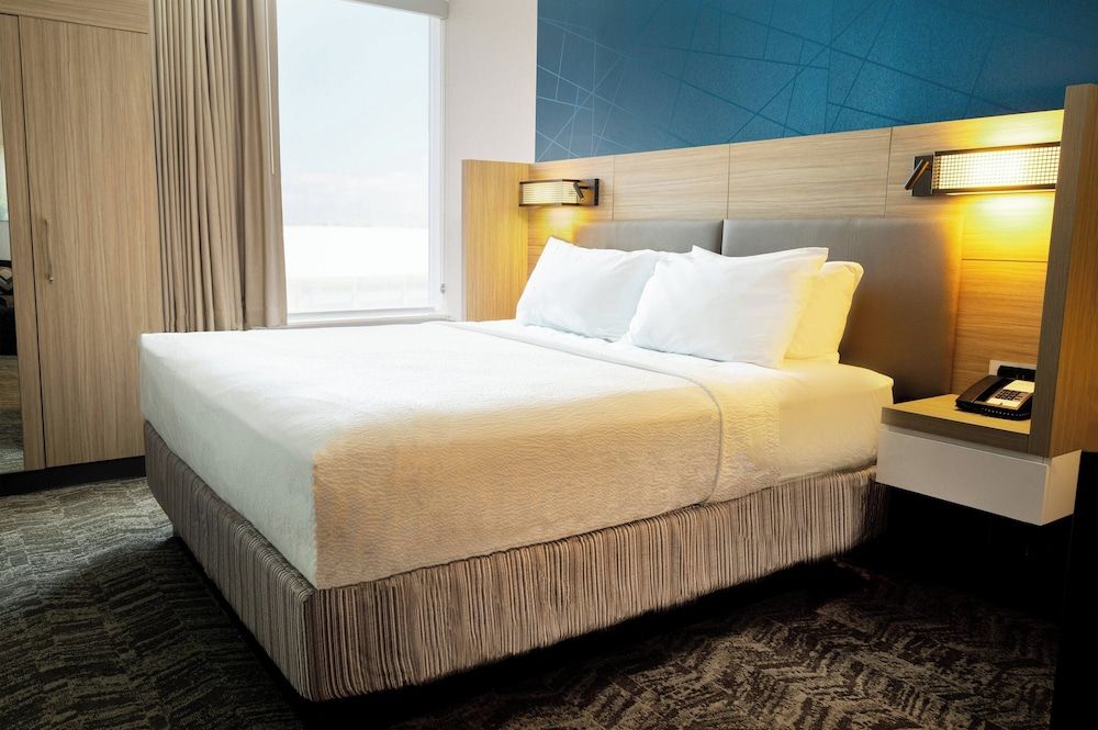 Suite, 1 King Bed
