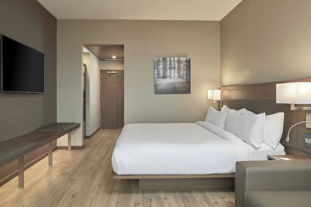 Room, 1 King Bed with Sofa bed