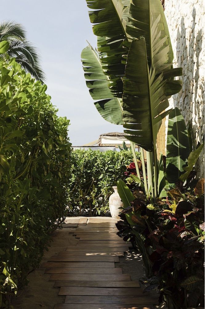 Casa Joseph Zicatela - Adults Only OCEANFRONT GARDEN SUITE 5