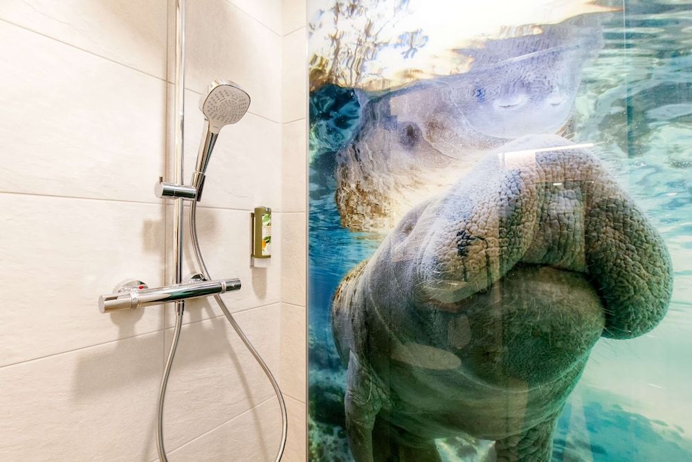 Best Western Hotel Wiesbaden Standard Room, 1 Queen Bed 7