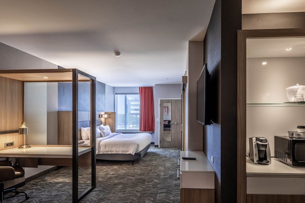 Suite, 1 King Bed with Sofa bed, Non Smoking (Mobility/Hearing Access, Roll-in Shwr)