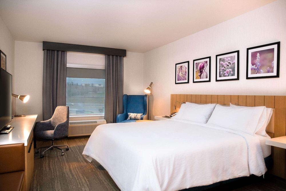 Room, 1 King Bed