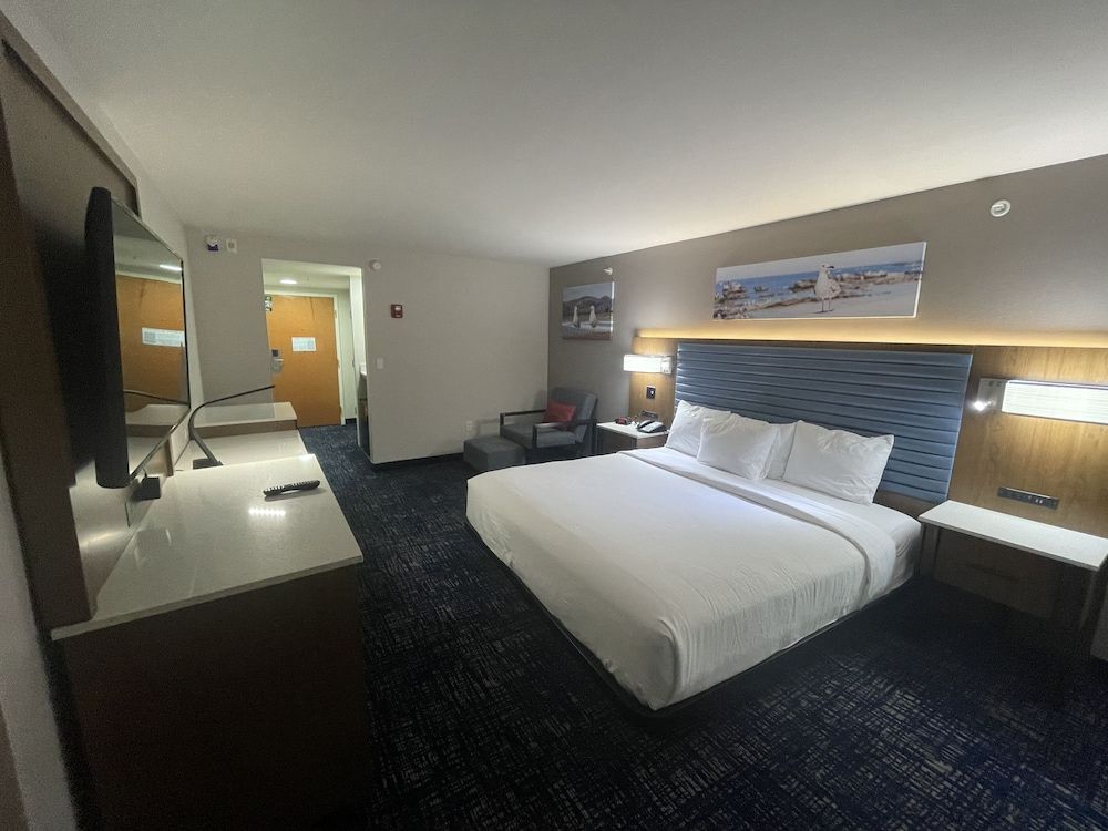 Room, 1 King Bed, Non Smoking