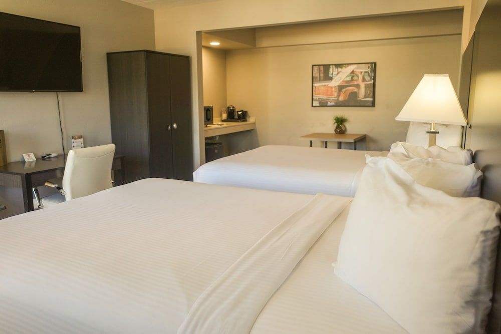 Americana Modern Hotel King Queen Queen Pet Friendly Suite