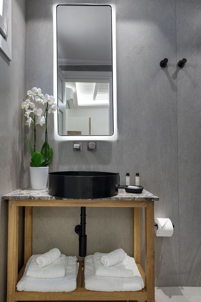 Elia Mykonos Resort Standard Double or Twin Room, Pool View 4