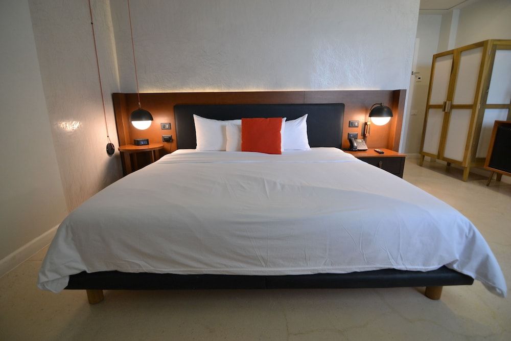 Mex Hoteles Standard King 2