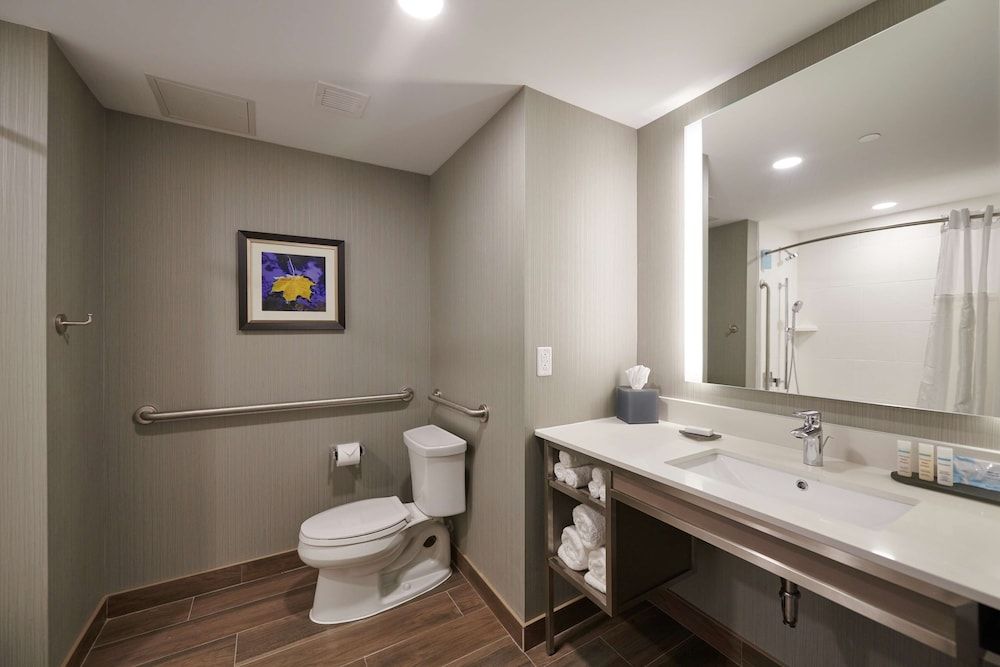 Room, 1 King Bed, Accessible, Bathtub
