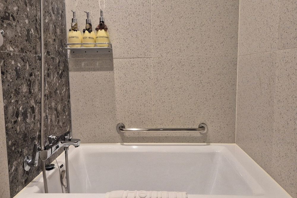 Henn na Hotel Seoul Myeongdong Dinosaur Twin 6