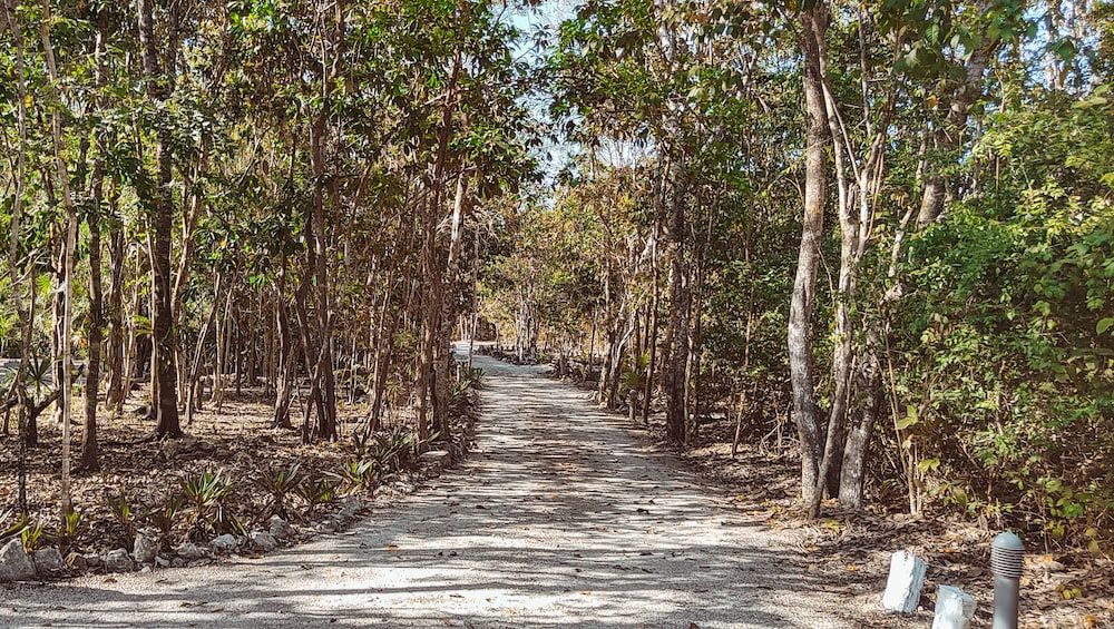 MBH Maya Bacalar Hotel Boutique Jungle View Suite 3
